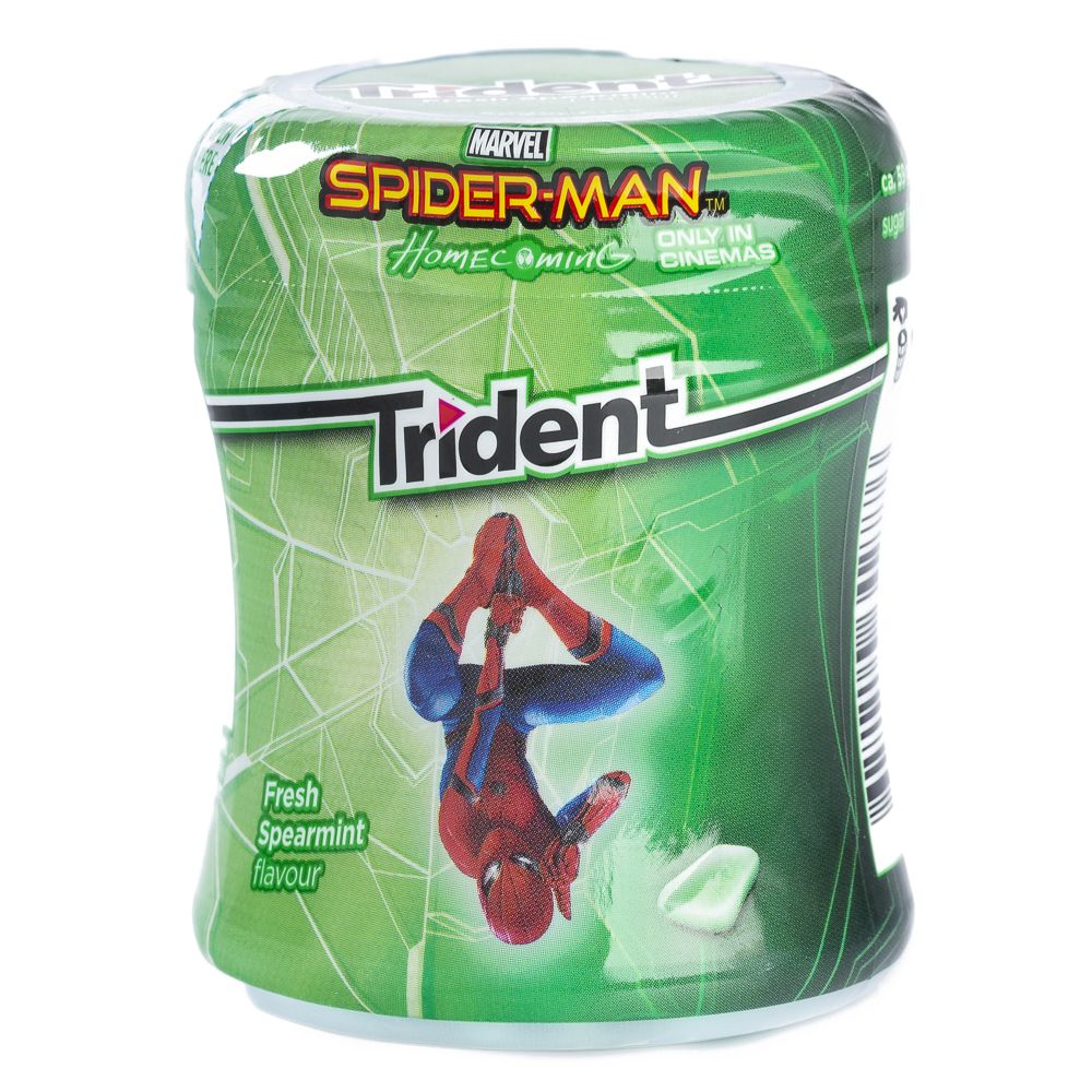  - Trident Fresh Spearmint Chewing Gum Jar 82.5 g (1)
