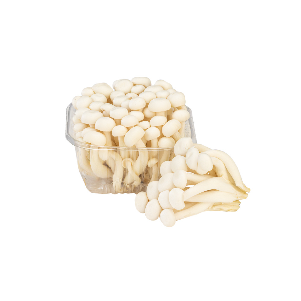  - Cogumelo Shimeji Branco 150g (1)