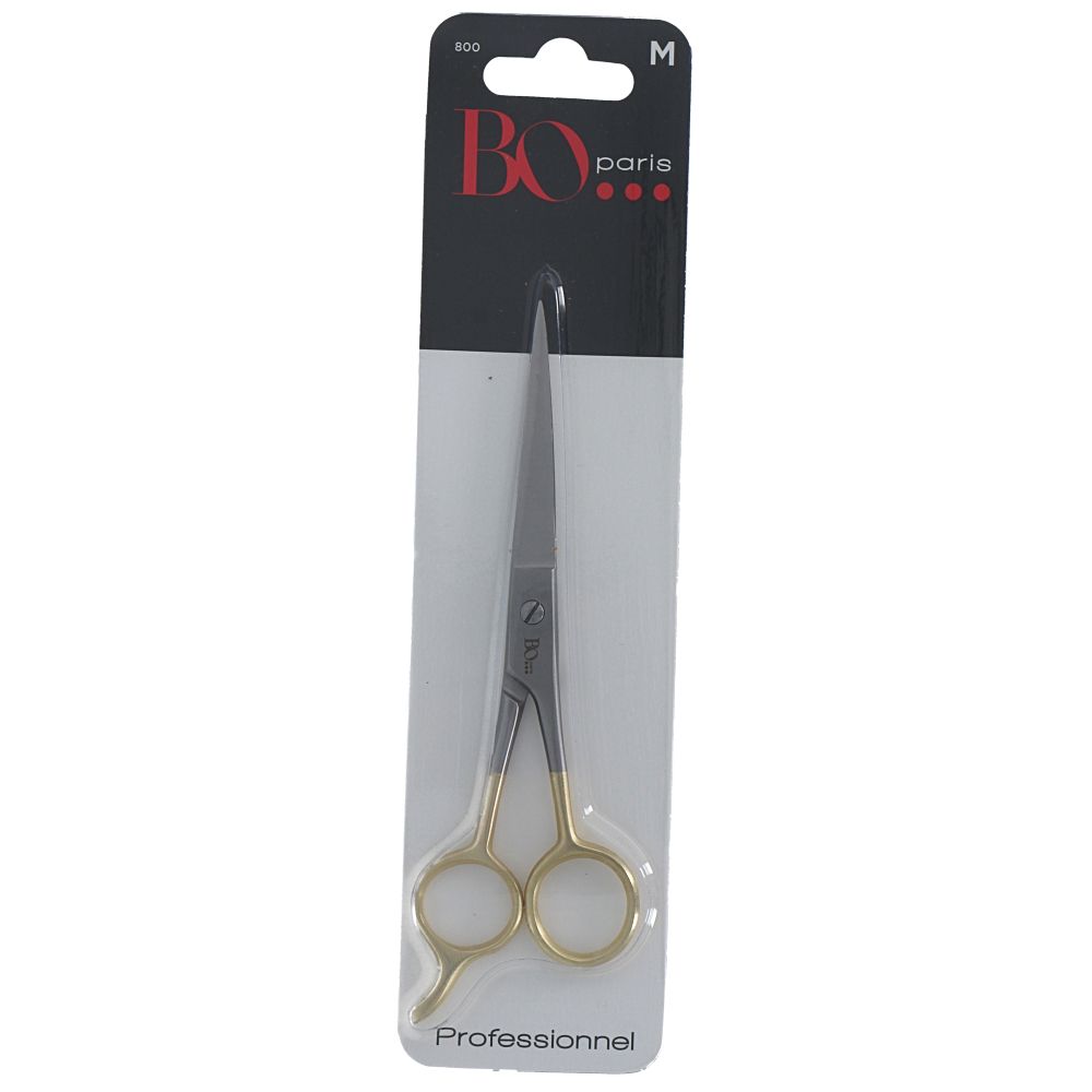  - Bo Paris Pro Hairdressing Scissors (1)