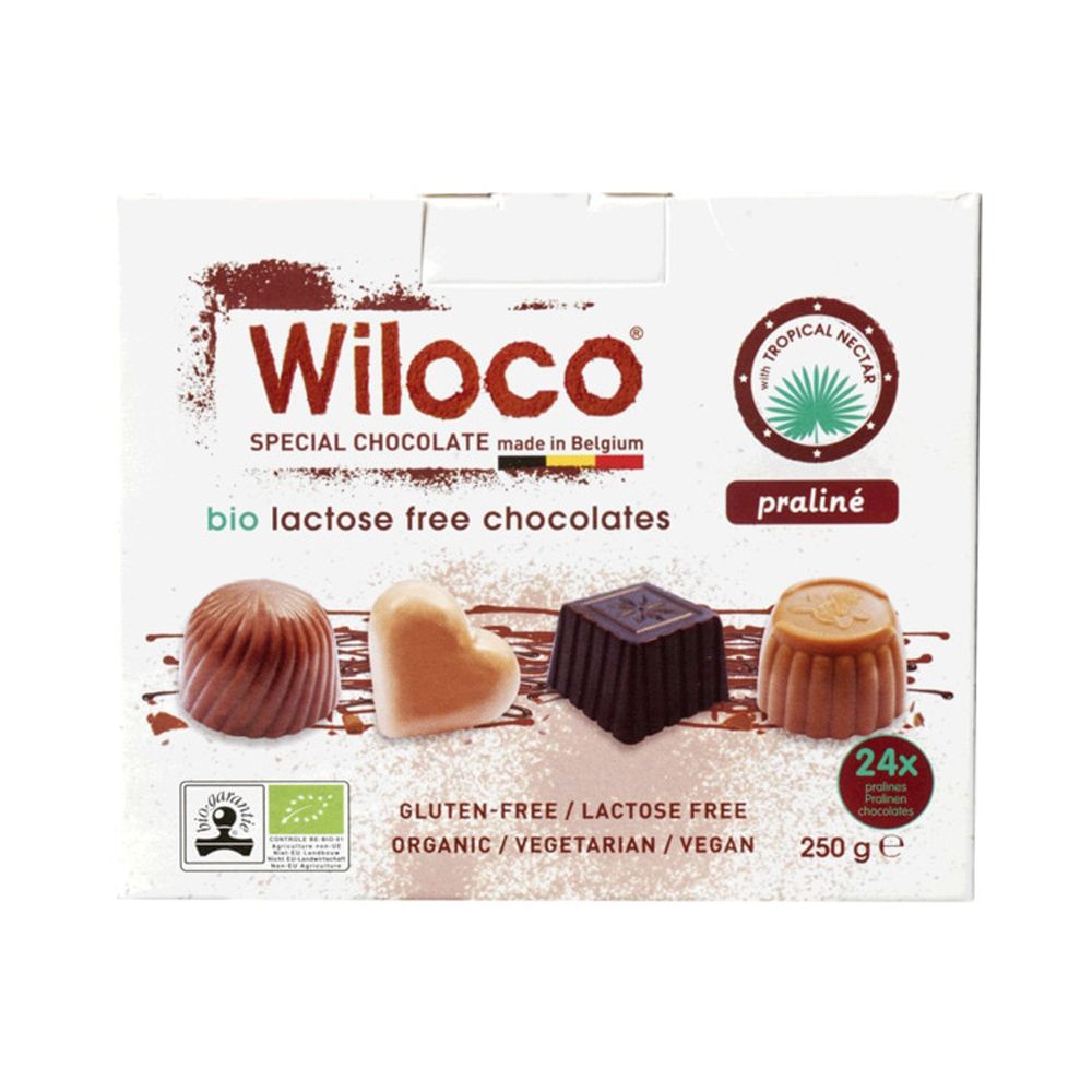  - Organic Wiloco Chocolate Praline Assorted Organic Lactose Free 250g (1)