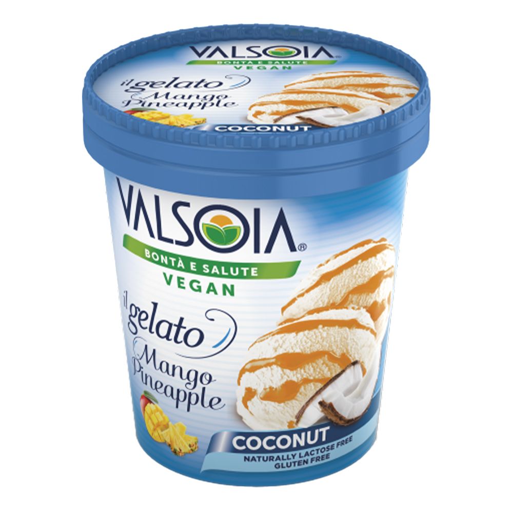  - Valsoia Coconut, Pineapple & Mango Vegan Ice Cream 300g (1)