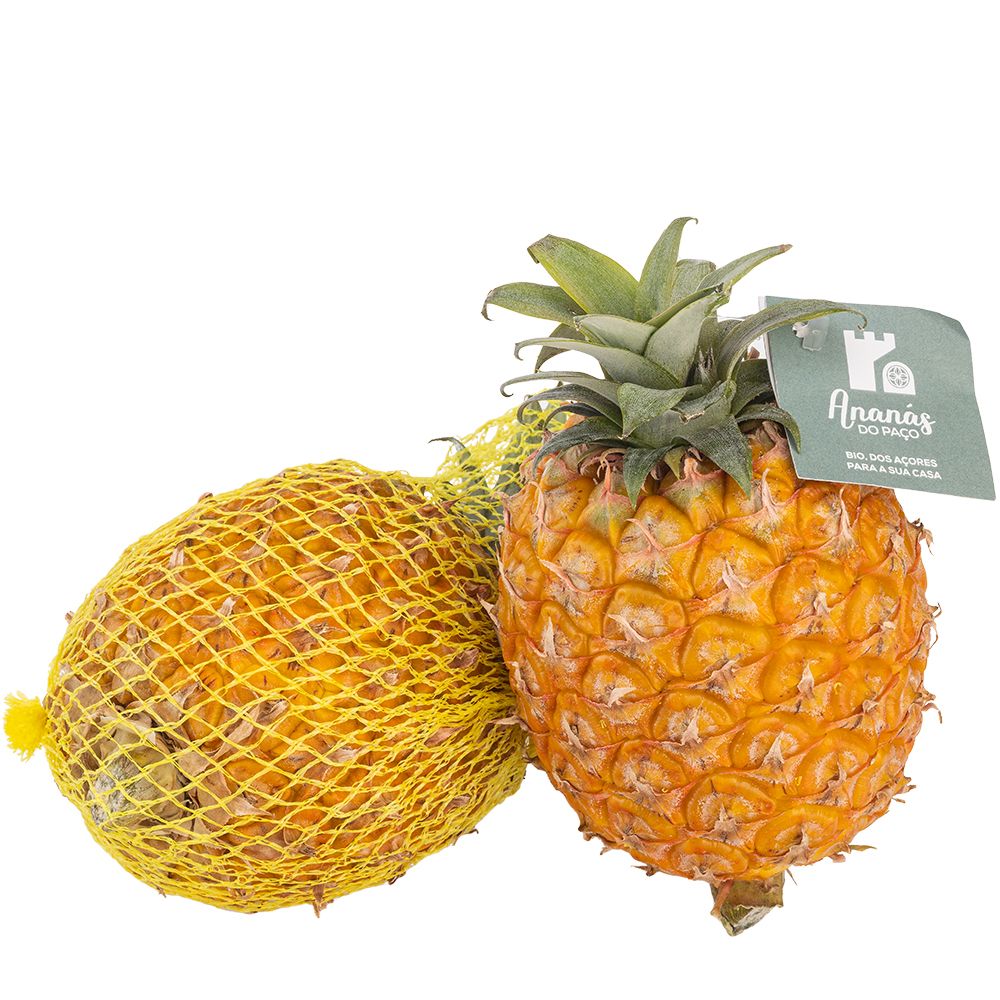  - Pineapple Biofrade 600g (1)