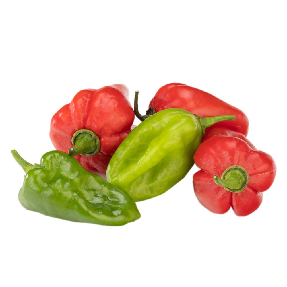  - Herbex Pepper Variety African Mix 100g (1)