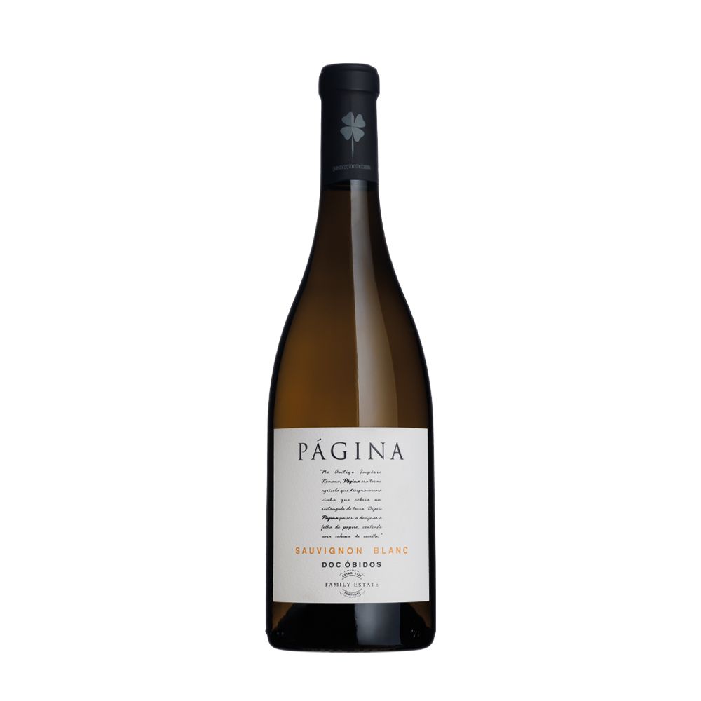  - Vinho Branco Página Sauvignon Blanc 75cl (1)