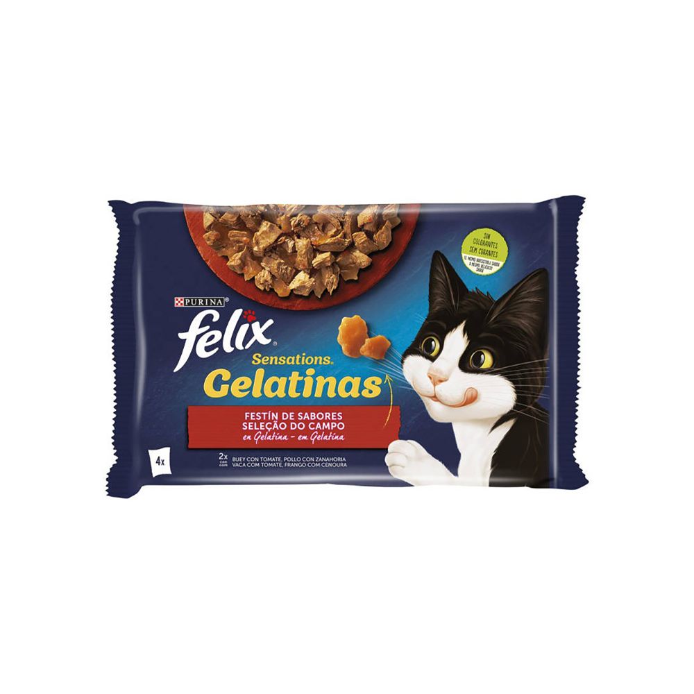  - Felix Gelatin Cat Wet Food Campo Selection 4x85g (1)