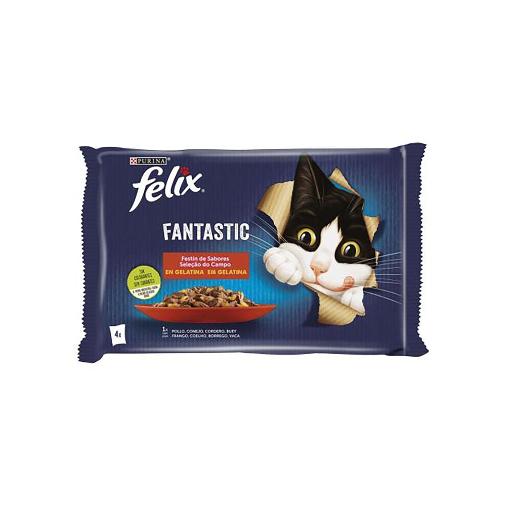  - Felix Fantastic Cat Wet Food Flavors Selection 4x85g (1)