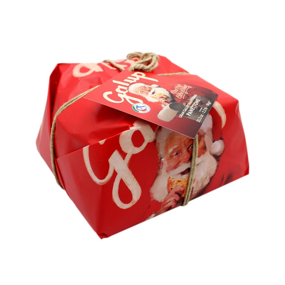  - Galup Traditional Panettone 1kg