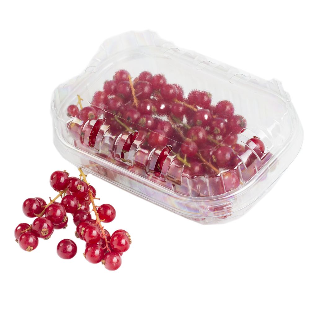  - Currant 125g (1)