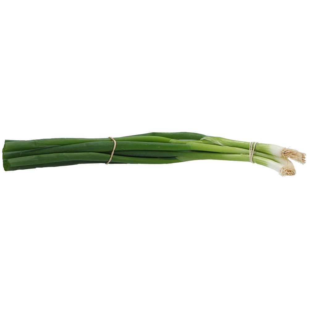  - Spring Onion 100g (1)