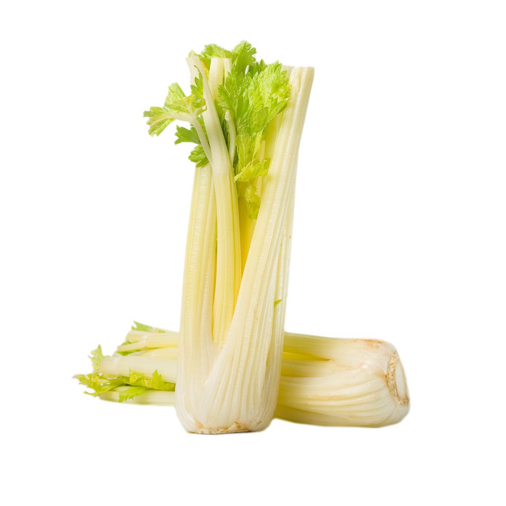  - White Celery Kg (1)