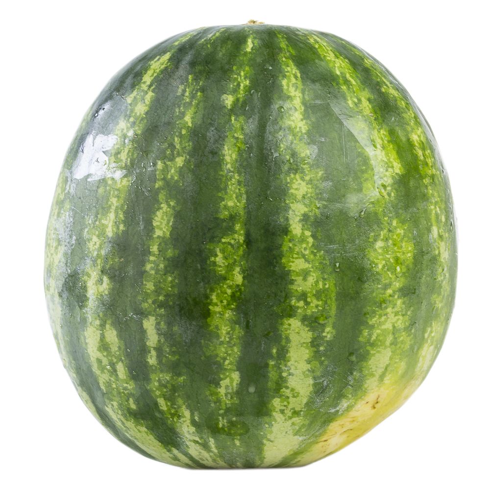  - Striped Watermelon (1)