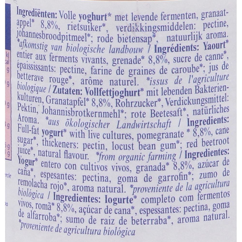  - Iogurte Pur Natur Pedaços Romã 150g (2)