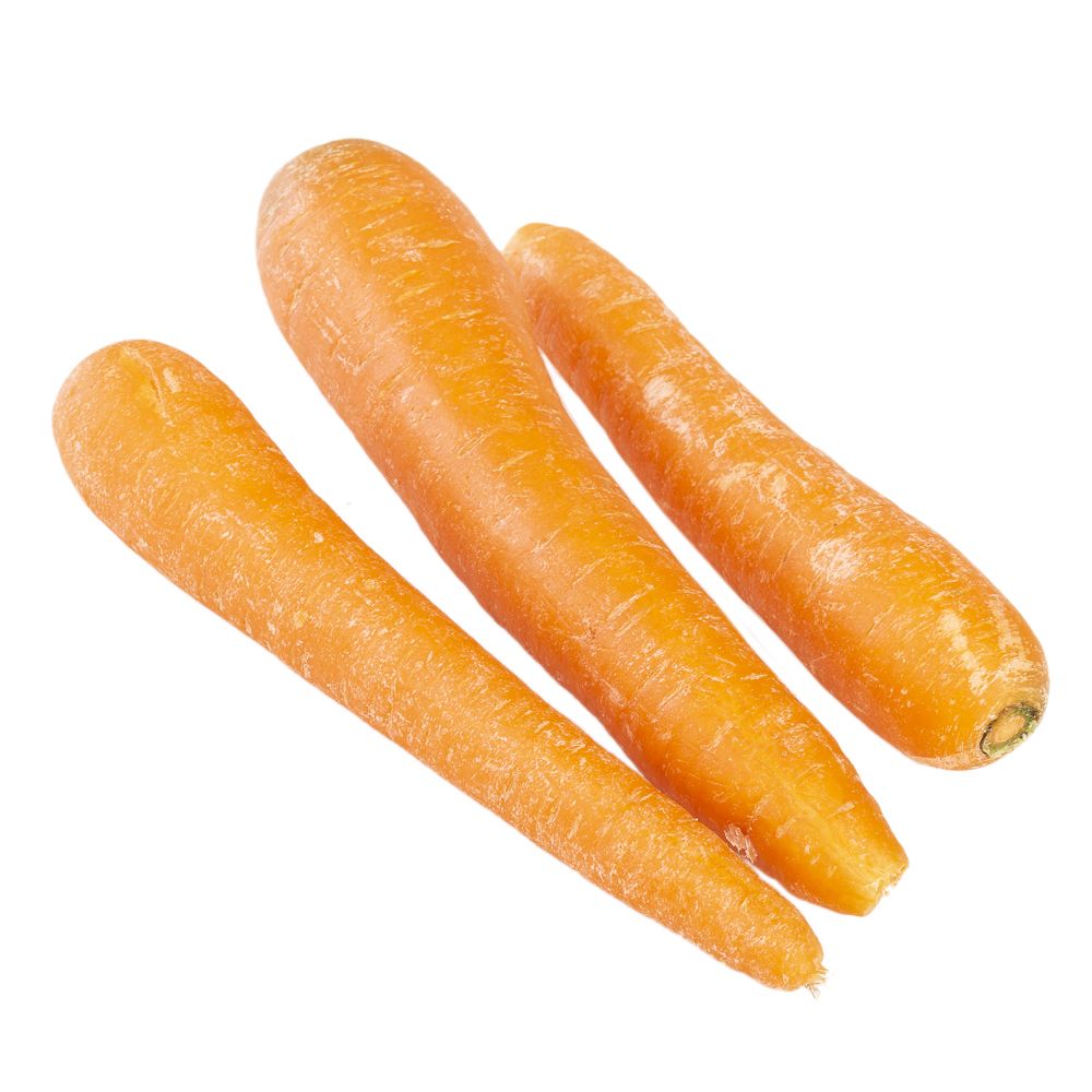  - Carrot Kg (1)