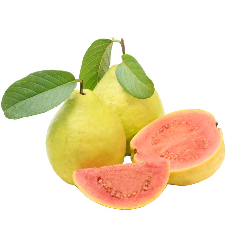  - Guava Kg (1)