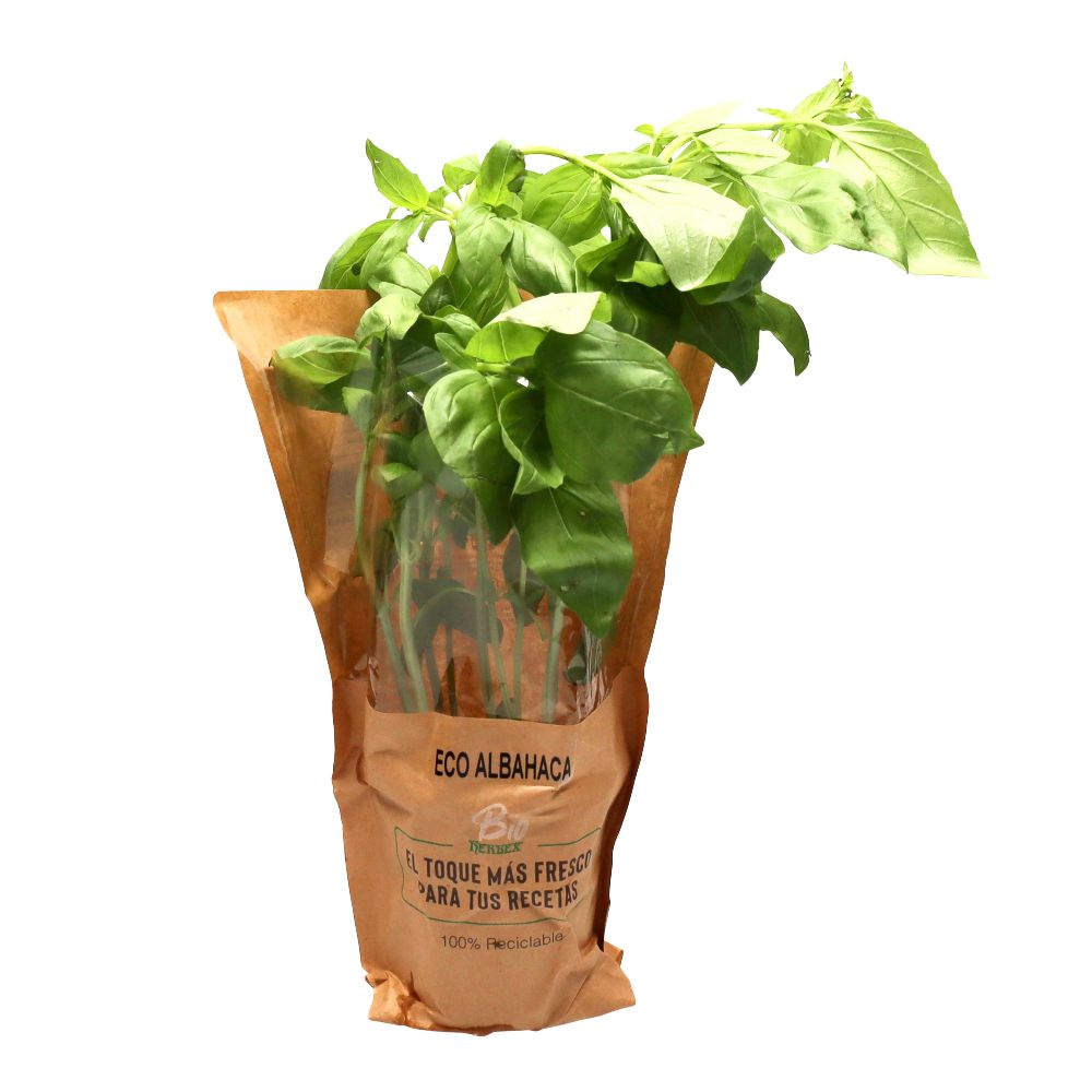  - Potted Basil (1)