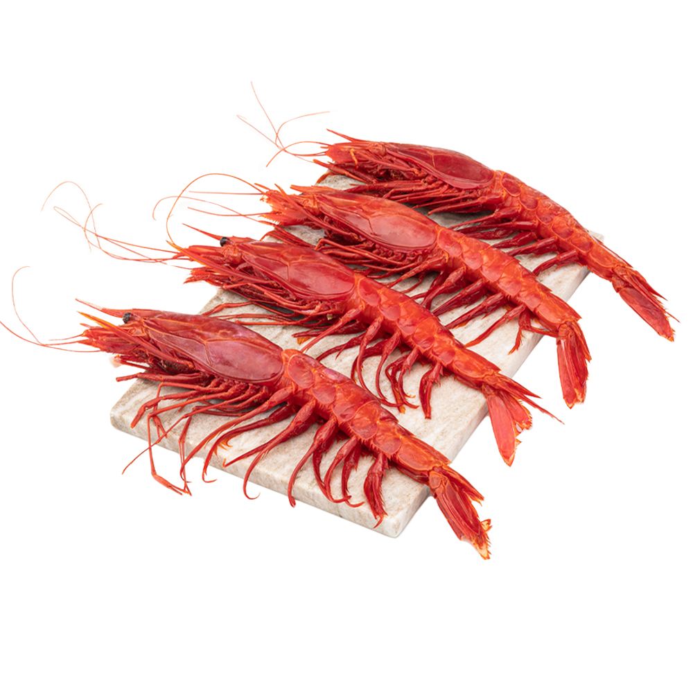  - Scarlet Shrimp Kg (1)