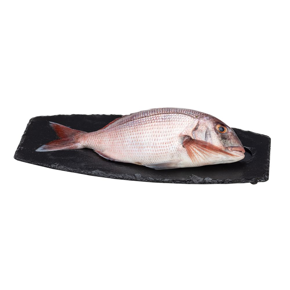  - Whole Couch`s Seabream Kg (1)