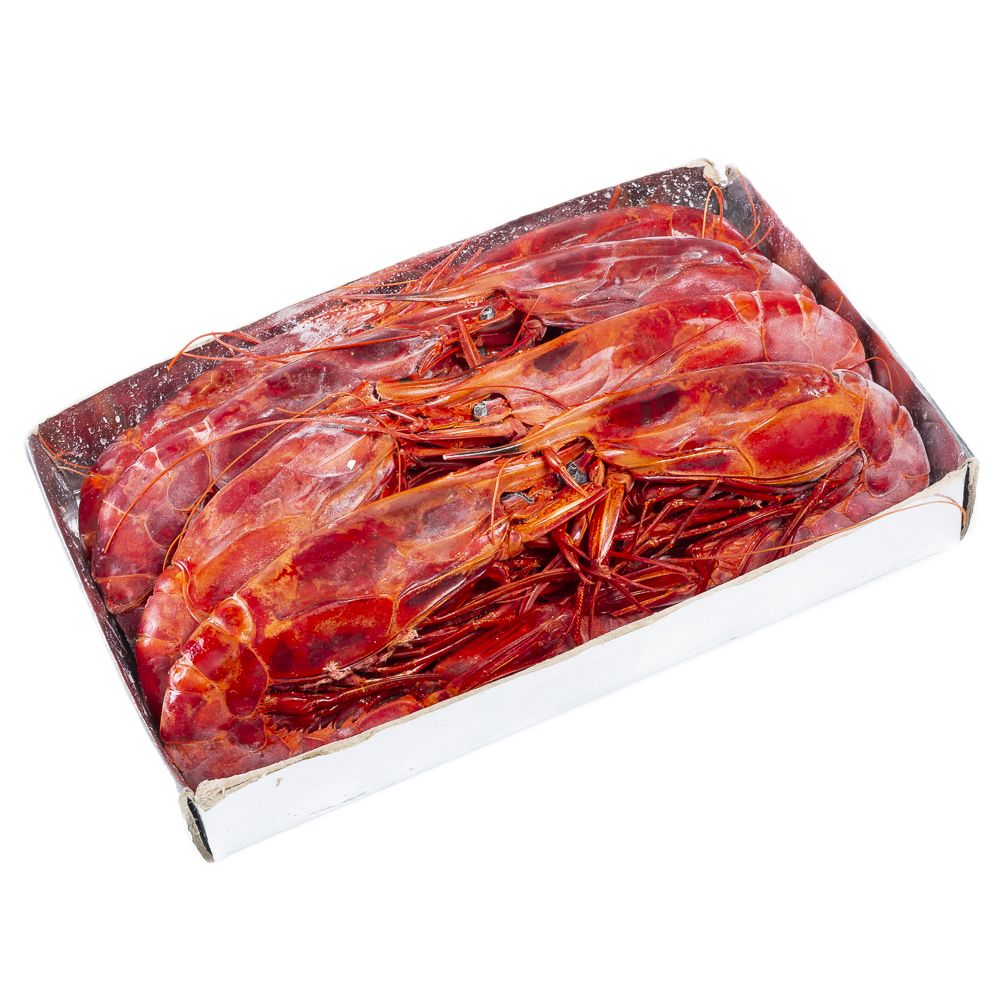  - Frozen Scarlet Shrimps Kg (1)