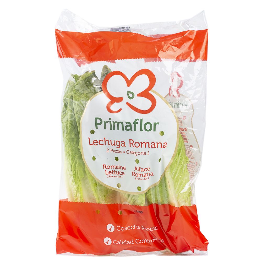  - Primaflor Cos Lettuce 2 pc (1)