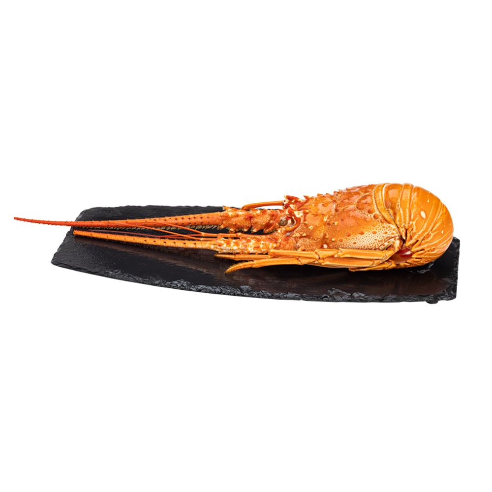  - Boiled Lobster 700/1300 Kg (1)