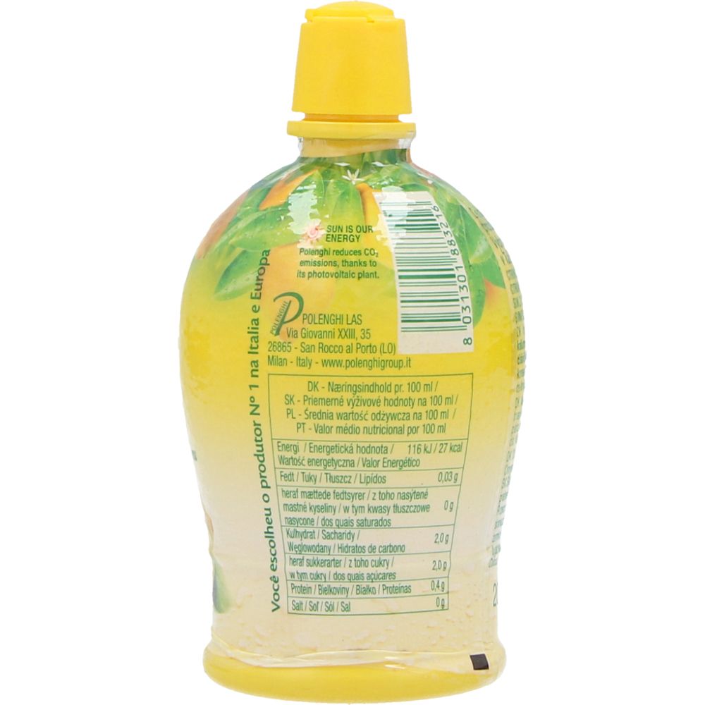  - Polenghi Lemon Juice 200 ml (2)