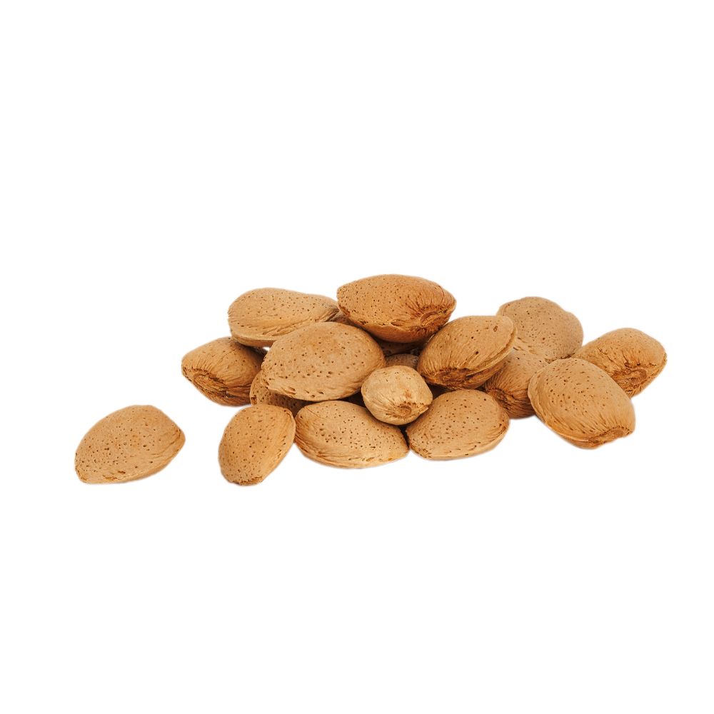  - Almond In Shell Kg (1)