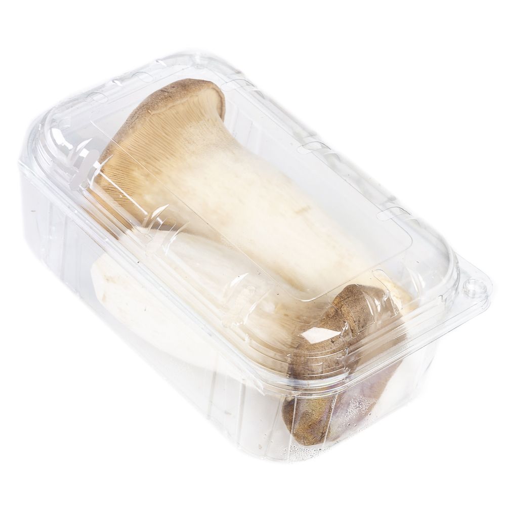  - King Oyster Mushroom Packaged Kg (1)