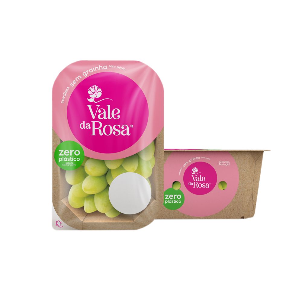  - Vale da Rosa Seedless White Grapes 500g (1)