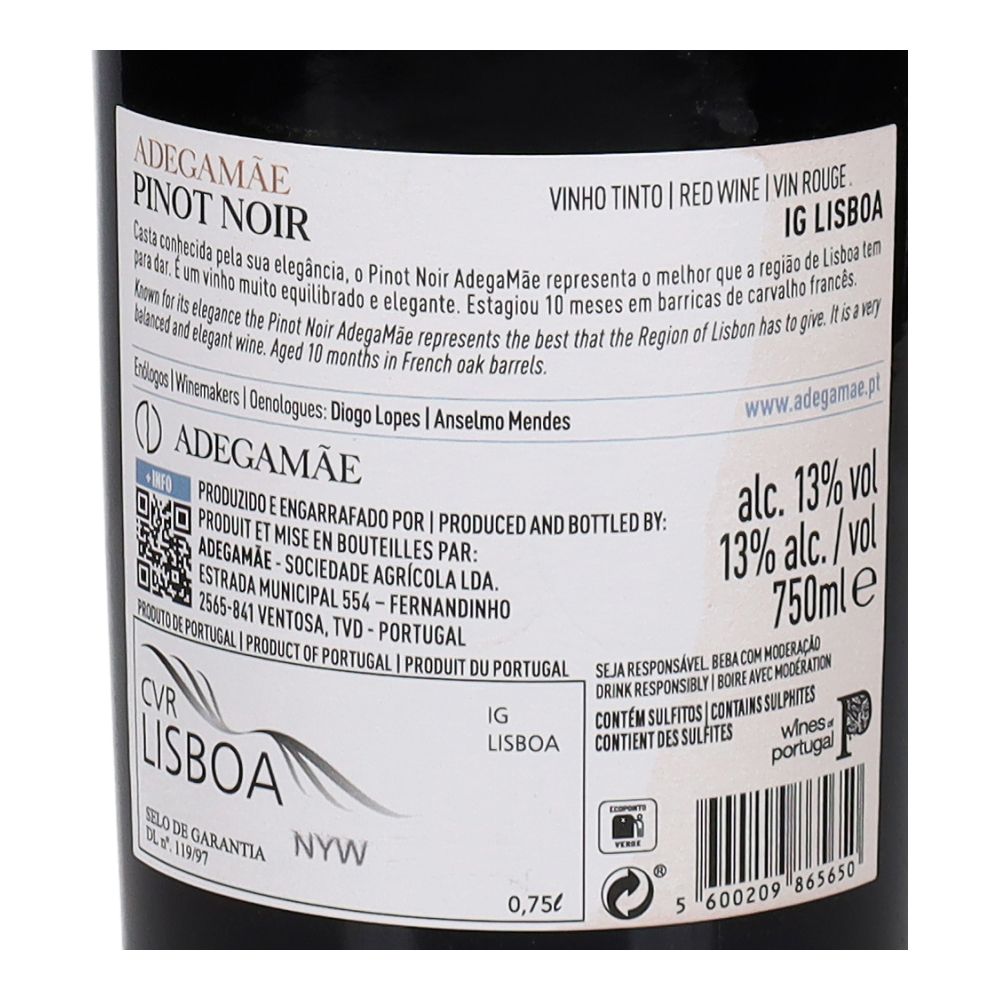 - Vinho Adega Mãe Pinot Noir Tinto 16 75cl (2)